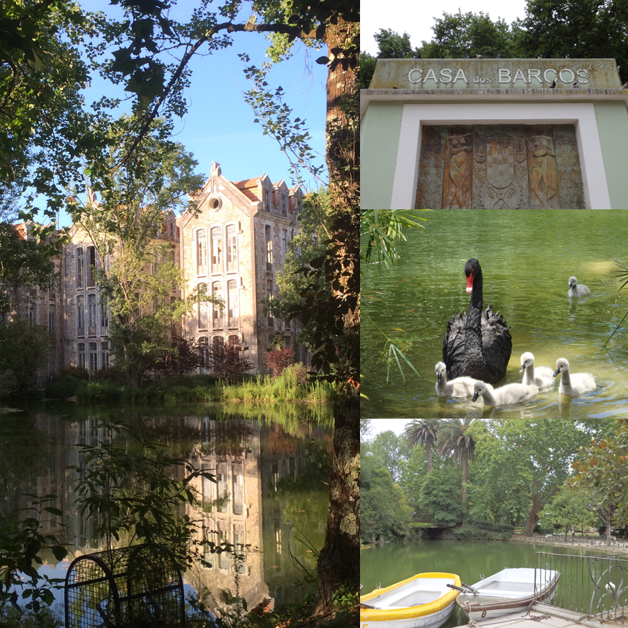 parque-dom-carlos-visit-caldas-da-rainha-010